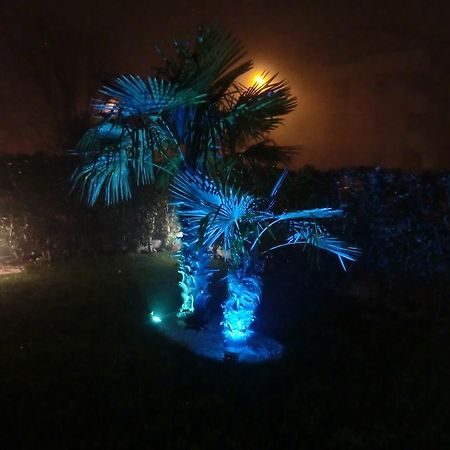 Residence Elisa Piano Terra Con Giardino E Posto Spiaggia Incluso カオルレ エクステリア 写真