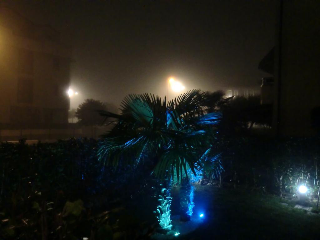 Residence Elisa Piano Terra Con Giardino E Posto Spiaggia Incluso カオルレ エクステリア 写真