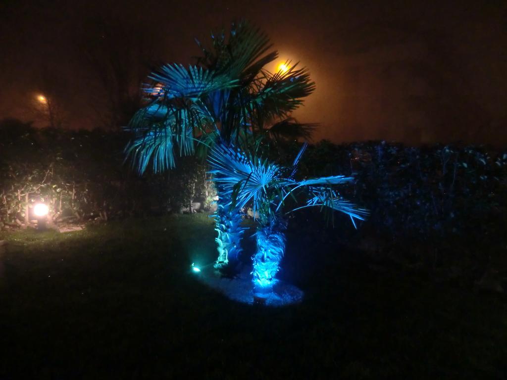 Residence Elisa Piano Terra Con Giardino E Posto Spiaggia Incluso カオルレ エクステリア 写真
